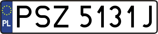 PSZ5131J