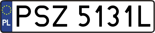 PSZ5131L