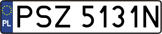 PSZ5131N