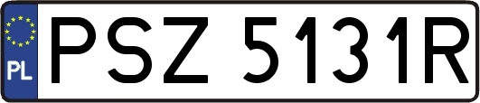 PSZ5131R