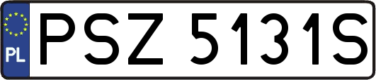 PSZ5131S