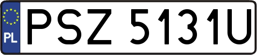 PSZ5131U