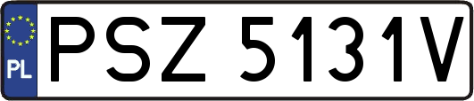 PSZ5131V
