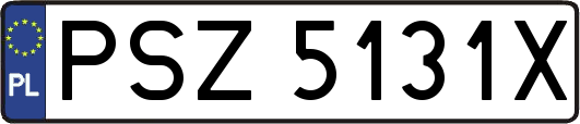 PSZ5131X