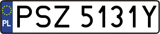 PSZ5131Y