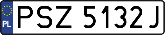 PSZ5132J