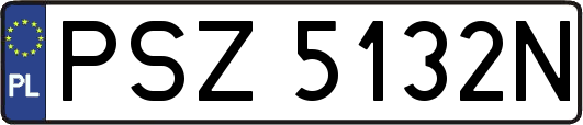 PSZ5132N