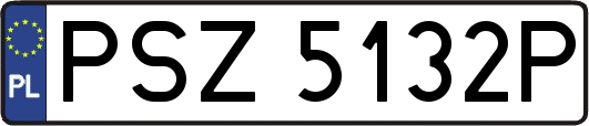 PSZ5132P
