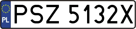PSZ5132X
