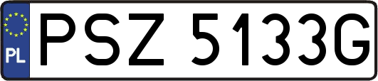 PSZ5133G