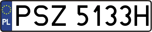 PSZ5133H