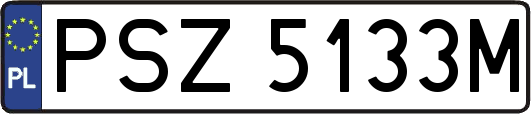 PSZ5133M