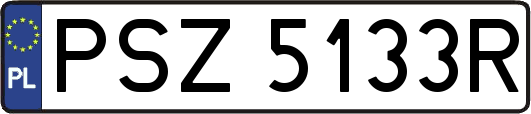 PSZ5133R