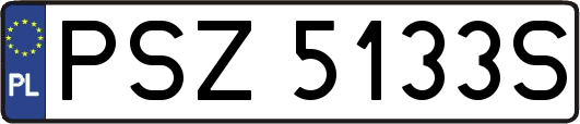 PSZ5133S