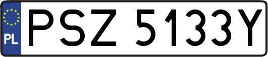 PSZ5133Y