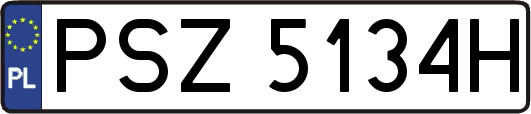 PSZ5134H