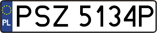 PSZ5134P