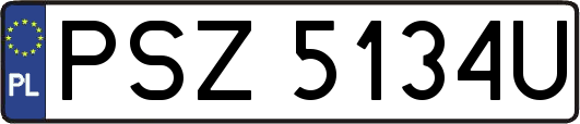 PSZ5134U