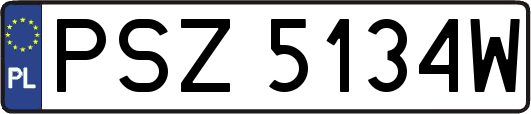 PSZ5134W