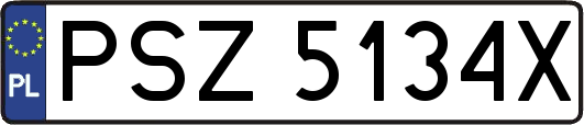 PSZ5134X