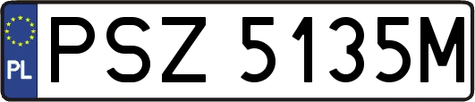 PSZ5135M