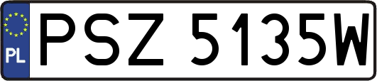 PSZ5135W