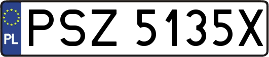 PSZ5135X