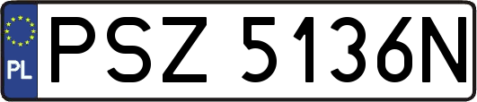 PSZ5136N