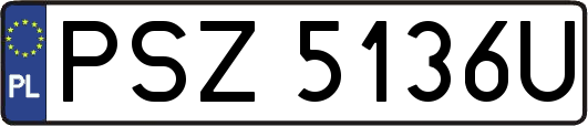 PSZ5136U
