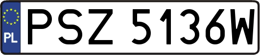 PSZ5136W