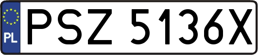 PSZ5136X