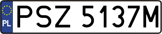 PSZ5137M