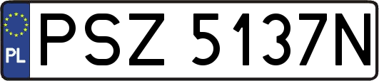 PSZ5137N