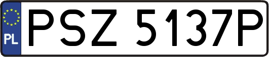 PSZ5137P