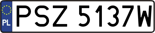 PSZ5137W