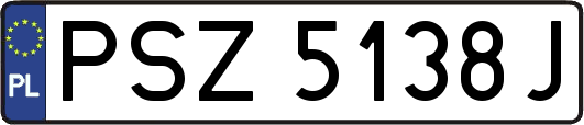 PSZ5138J