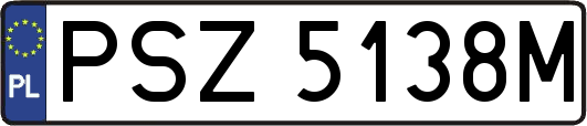 PSZ5138M