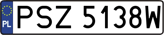 PSZ5138W