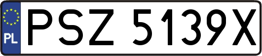 PSZ5139X