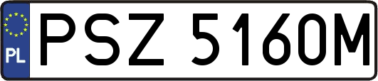 PSZ5160M