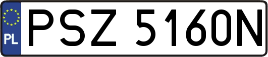 PSZ5160N