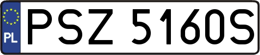 PSZ5160S