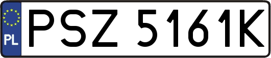 PSZ5161K