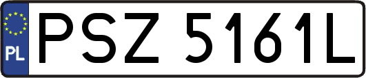 PSZ5161L