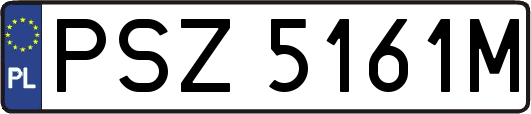 PSZ5161M