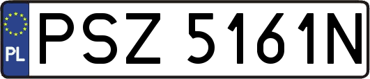 PSZ5161N