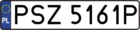PSZ5161P