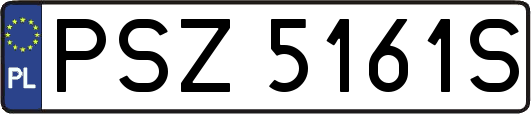 PSZ5161S