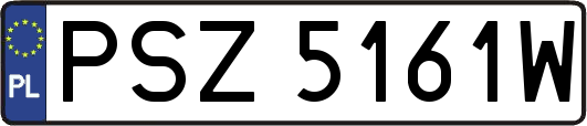 PSZ5161W