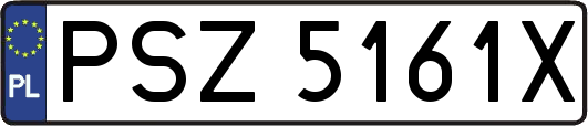 PSZ5161X